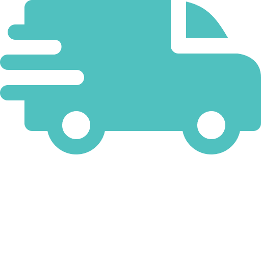 Delivery Icon